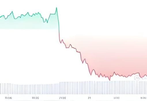 Dogecoin (DOGE) Sees Wild Price Action Following Elon Musk’s Starship Launch Incident