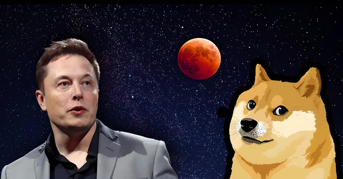 Elon Musk Faces New Class Action Lawsuit Over Dogecoin