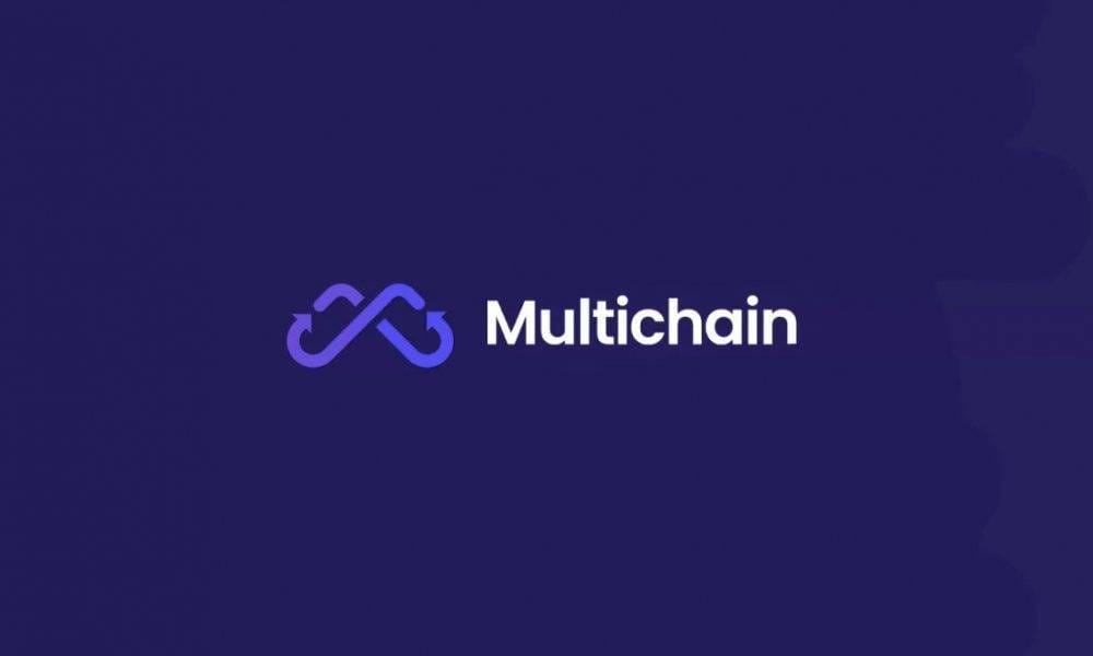 Wallet Linked to Multichain Witnesses Another Large Transfer