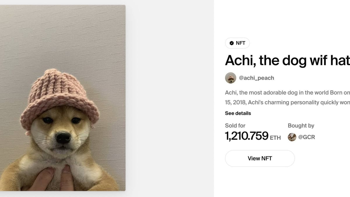 Iconic Dogwifhat Meme Image Sold as NFT for $4.3 Million