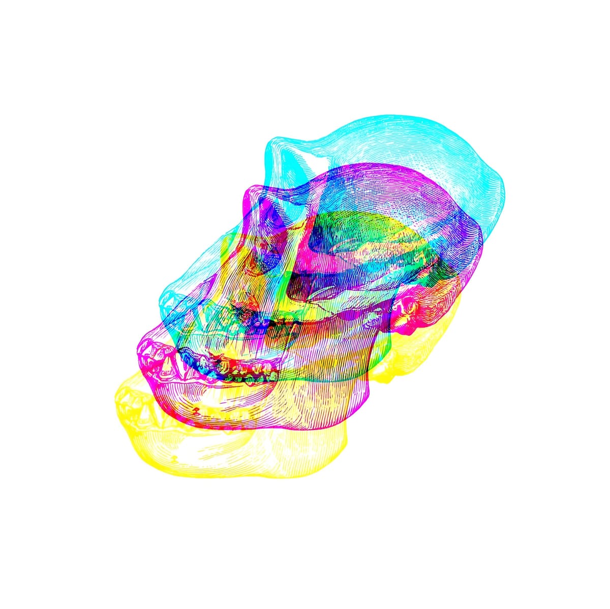 ApeCoin Blocks North American Users from Upcoming APE Staking Product