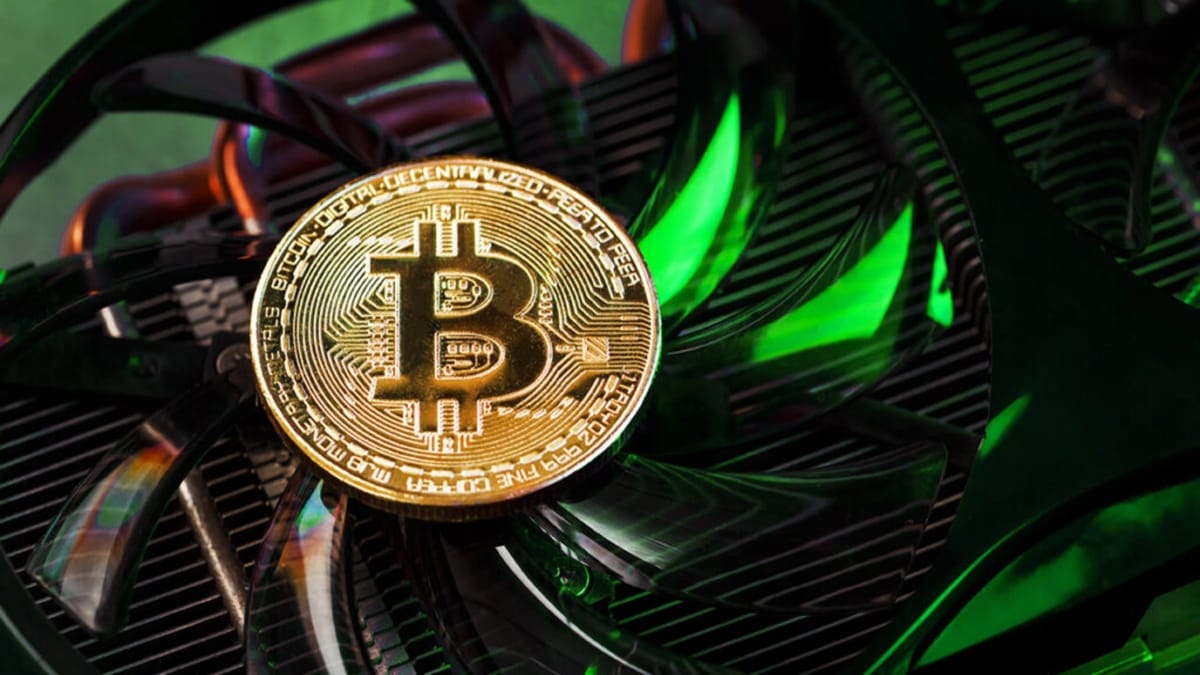 Bitcoin và Nvidia đồng thời lập đỉnh lịch sử: Phố Wall chính thức trở thành người chơi lớn nhất của thị trường
