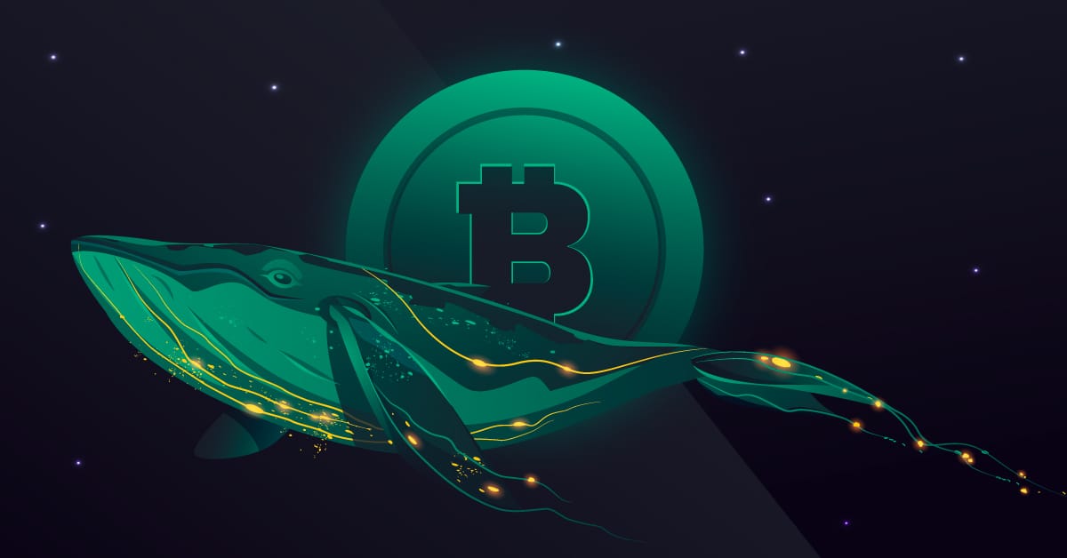 Whale có còn quyết định thị trường Bitcoin xanh hay đỏ? Câu trả lời không còn giống trước đây