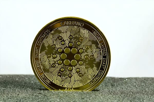 Cardano Developer: ADA Is Not a Security