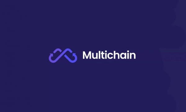 Wallet Linked to Multichain Witnesses Another Large Transfer