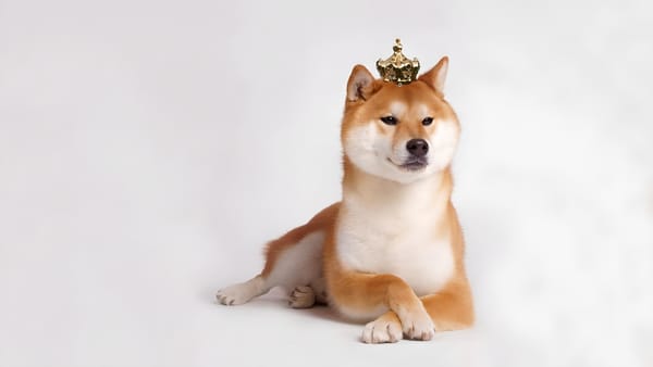 Shiba Inu Prepares to Launch '.shib' Internet Domain