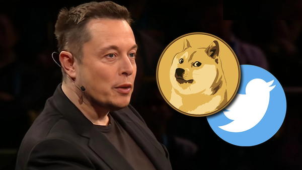 Dogecoin (DOGE) Drops 10% After Twitter Users Vote for Elon Musk to Step Down