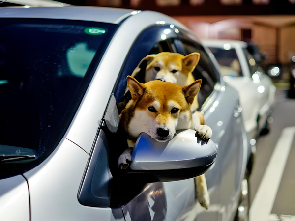 Floki Inu DAO Approves Proposal to Burn $100 Million in Tokens, FLOKI Price Soars