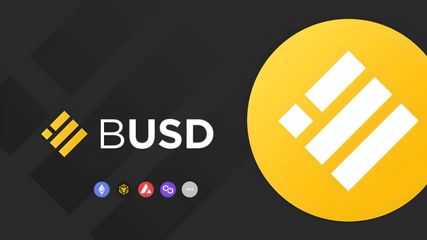 Binance Expands BUSD Influence to Avalanche and Polygon